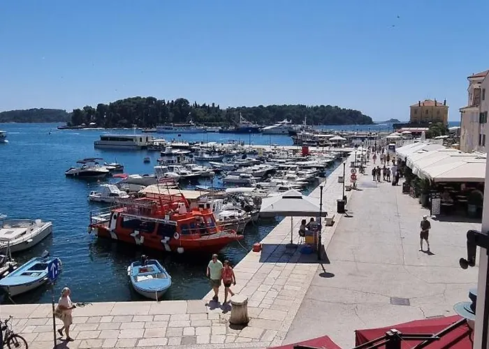 Volta View * Ρόβινι